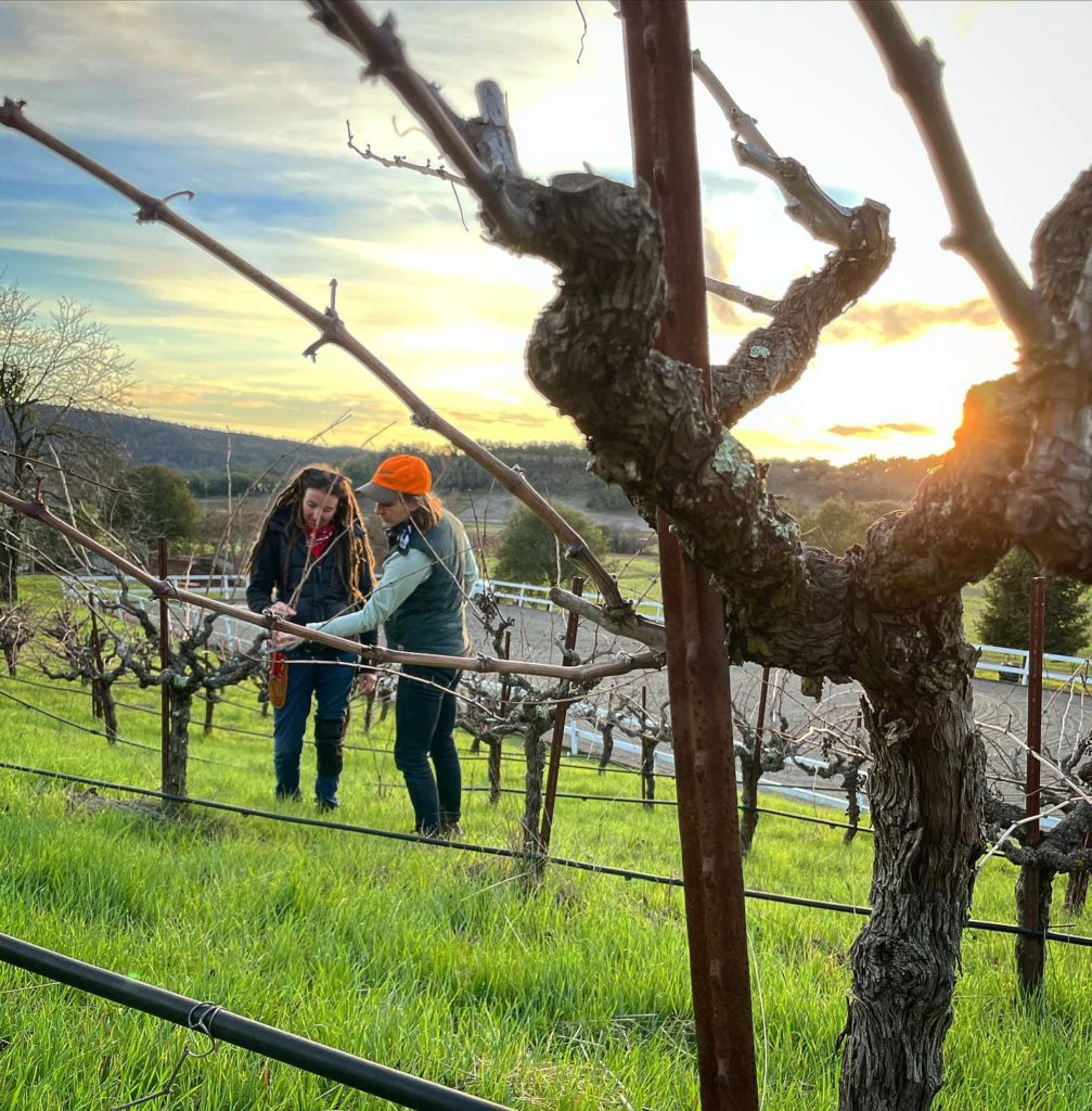 Dos Piedras Wines will Debut in Sonoma Valley